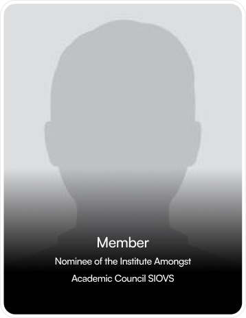 Item → Variant 19-2