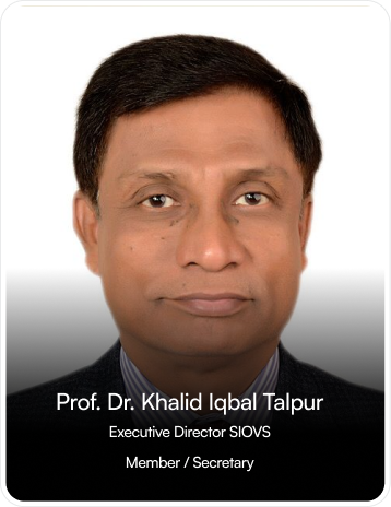 Item → Variant 22-2